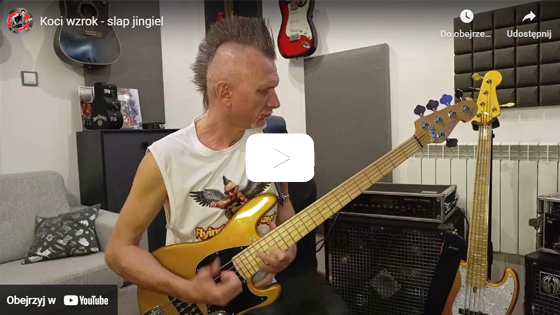 Koci wzrok - jingiel slap - (2025)